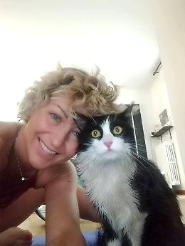 SETTIMO TORINESE La storia del gatto Matisse, vivo per miracolo