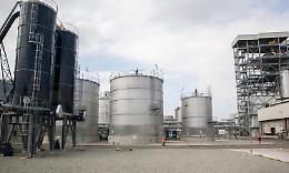 CRESCENTINO. Lo stabilimento IBP è fermo da mesi ma sprigiona un odore nauseabondo