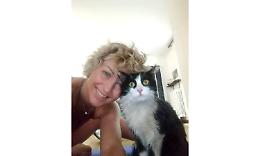 SETTIMO TORINESE. Il gatto Matisse è salvo per miracolo