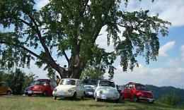 SAN SEBASTIANO. “Ginkgo Festival” alla Villa Musica da sogno sotto l’albero