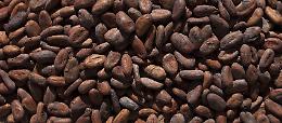 TORINO. Il cacao più raro al mondo sbarca al Salone del Gusto