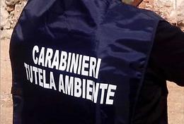 ALESSANDRIA. Gestione illecita rifiuti edili, Noe denuncia imprenditore