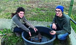 LIVORNO FERRARIS. A Castell’Apertole due studiosi di biologia salvano dall’estinzione le testuggini Emys