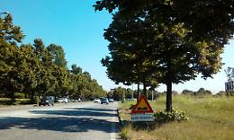 VENARIA. “Transennopoly” a 5 Stelle