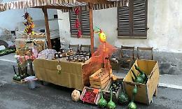 COSSANO. Sagra del fungo, vetrina  del Canavese