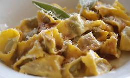 Agnolotti del plin con Barbera Terre del Creario DOC