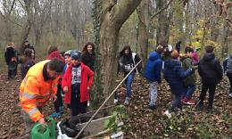 BANCHETTE. Festa dell’albero: la Regione dona le piante