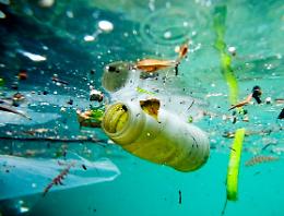 ROMA. Volontari puliscono spiagge, aggredite da plastica e erosione