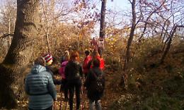 IVREA. Il Nordic Walking
