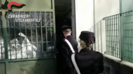 BORGARO. I carabinieri del Noe sequestrano un capannone adibito a discarica abusiva