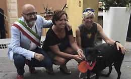 CUORGNÈ. Dana non ce l’ha fatta: è mancato il cane dei bambini