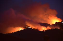 VALPERGA. Boschi Sacro Monte a rischio dopo incendio,80% alberi morirà