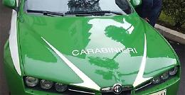 STRESA. Ambiente: discarica abusiva a Stresa, due denunce