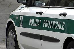RE. Cadavere decomposto trovato in valle Vigezzo