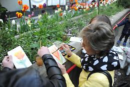TORINO. Arte tra i tulipani