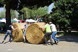 CALUSO. "Passito Reis", una caccia al tesoro nelle terre dell'Erbaluce
