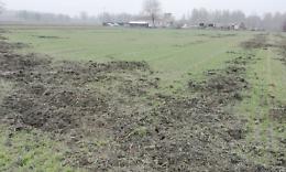 MERCENASCO. E’ emergenza cinghiali, nutrie e caprioli