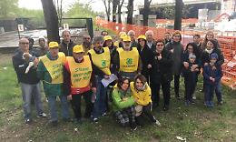 SETTIMO. “Salviamo gli alberi di corso Piemonte”