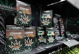 TORINO. Cannabis: nasce comitato negozianti