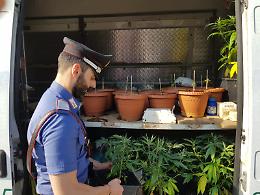 RIVOLI. Droga: 'La nostra è a km 0', pusher traditi da vanterie
