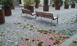 IVREA. Il degrado avanza in tutta la città e su Facebook i cittadini bocciano l’Amministrazione Sertoli