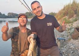 CHIVASSO. Il Po invaso dai "pesci siluro": scatta l'allarme
