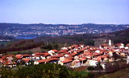 COSSANO. Dal 4 al 6 ottobre la Sagra del Fungo, la vetrina dell'agricoltura e dell'ambiente canavesano
