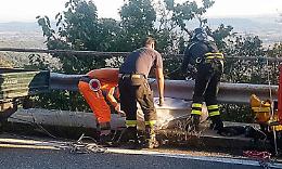 CHIAVERANO. Pecora morta: ora si teme l’inquinamento