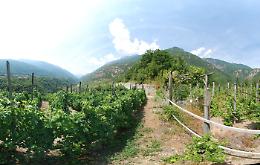 EXILLES. Domenica 13 Ottobre "Provincia Incantata, per scoprire i segreti del vino e del ghiaccio