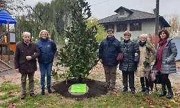 CHIVASSO. La Samco dona una magnolia alla scuola Mazzucchelli
