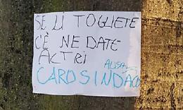 VENARIA. Salvate gli alberi di via Amati Tanti i messaggi nel rione Rigola