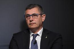 ROMA. Cimice: Agrinsieme, danni per oltre 500 mln servono risposte