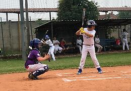 BASEBALL. Il Comitato Regionale Piemonte presenta la Virtual Cup