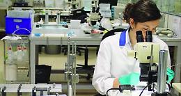 SALUGGIA. Cid-Alvimedica non rinnova 90 contratti a termine. I sindacati: le nuove produzioni saranno in Turchia
