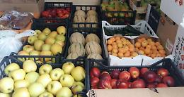 SETTIMO. La truffa del  fruttivendolo figlio del muratore Antonio...