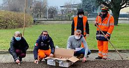 CRESCENTINO. Seicento tulipani da Pralormo alle aiuole del Parco Tournon