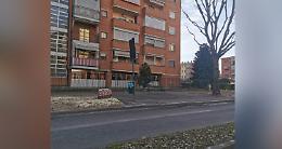 VENARIA. Completata la potatura degli alberi in via Di Vittorio, nel quartiere di Altessano