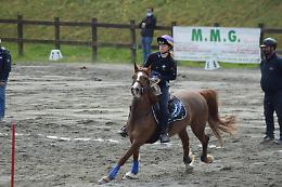 SPORT EQUESTRI. J&amp;G La Scuderia in campo per il prestigioso Trofeo 4 Regioni