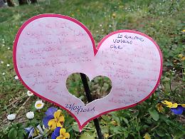 CHIVASSO. Viole del pensiero, lungo il Canale Cavour: un messaggio d&rsquo;amore per la sorella che non c&rsquo;&egrave; pi&ugrave;