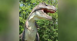 BORGARO. Tra il 12 giugno e il 12 settembre sarà allestita la mostra “Dinosaurs Park”
