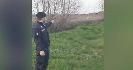 CRESCENTINO. I carabinieri fermano un uomo con un involucro sospetto. Era un airone bianco che, catturato, cercava di liberarsi