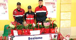 SETTIMO TORINESE. “Bentornata Gardensia”: l’An Carabinieri scende in piazza per sostenere la ricerca