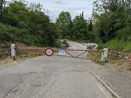 DRUENTO. Tori della Camargue in libertà: ne mancano ancora tre