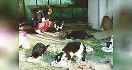 TRINO VERCELLESE. L’associazione A-Mici acquista una casa in cui curare e ospitare i gatti della città