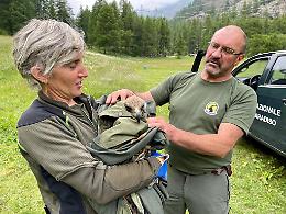 CERESOLE REALE. Aquila ferita salvata dai Guardiaparco