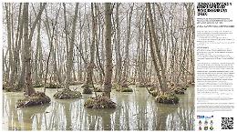 IVREA. Una foto per raccontare il Parco dei 5 laghi. Call aperta fino al 15 settembre