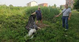 SETTIMO TORINESE. I volontari liberano un canale dopo l’allagamento degli orti