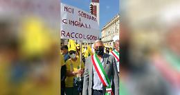 SETTIMO TORINESE. Emergenza cinghiali, anche Settimo in piazza