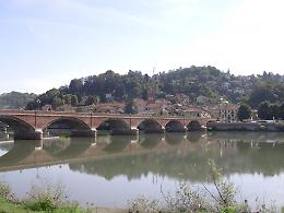 SAN MAURO TORINESE. Moria di pesci lungo il Po
