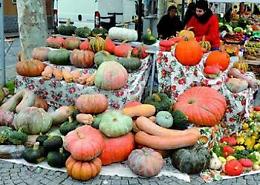 SCIOLZE. Tutto pronto per la diciannovesima Sagra della Zucca, domenica 3 ottobre